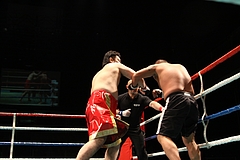 IMG_8952 IMG_8952