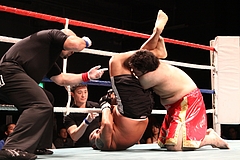 IMG_9047 IMG_9047