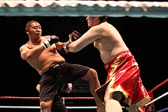 IMG_8958 IMG_8958
