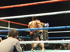 P1170804 P1170804