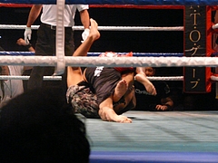 P1170381 P1170381
