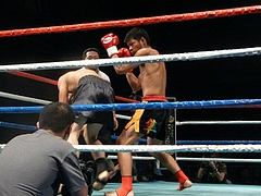 P1170144 P1170144