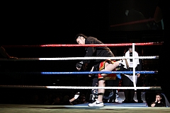 IMG_8913 IMG_8913