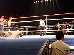 P1170156 P1170156