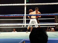 P1170202 P1170202