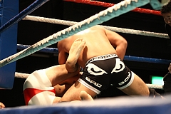IMG_9372 IMG_9372
