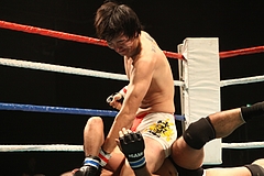 IMG_9442 IMG_9442