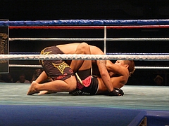 P1170677 P1170677