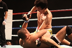 IMG_9429 IMG_9429