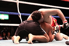 IMG_9054 IMG_9054