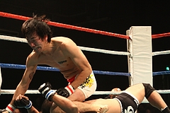 IMG_9448 IMG_9448