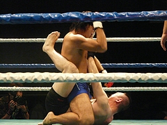 P1170580 P1170580