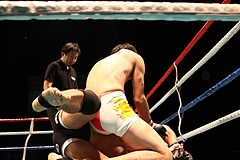 IMG_9331 IMG_9331