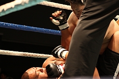IMG_8987 IMG_8987