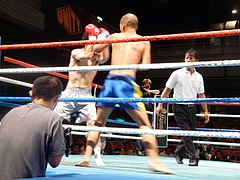 P1170071 P1170071