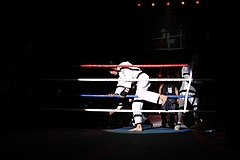 IMG_9251 IMG_9251