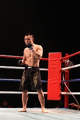 IMG_9586 IMG_9586