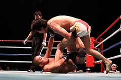 IMG_9335 IMG_9335