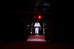 IMG_9242 IMG_9242