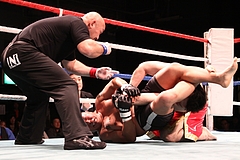 IMG_9049 IMG_9049