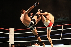 IMG_9417 IMG_9417