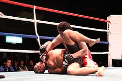 IMG_9052 IMG_9052