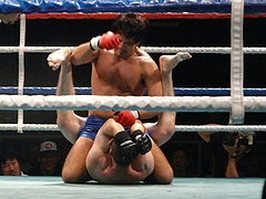 P1170590 P1170590