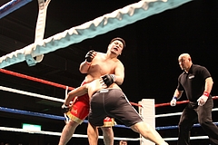 IMG_9036 IMG_9036