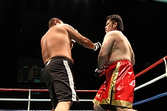 IMG_8945 IMG_8945