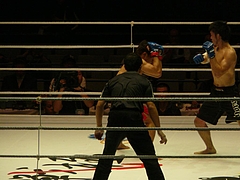 P1140755 P1140755