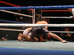 P1170470 P1170470