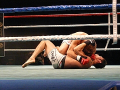 P1170225 P1170225