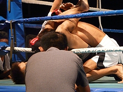 P1170620 P1170620