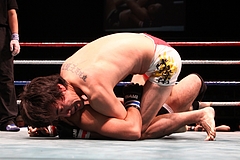 IMG_9348 IMG_9348