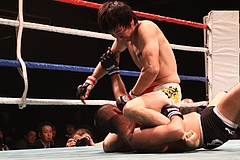 IMG_9449 IMG_9449