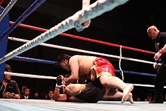IMG_8985 IMG_8985