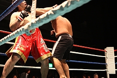 IMG_8968 IMG_8968