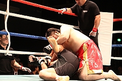 IMG_9037 IMG_9037