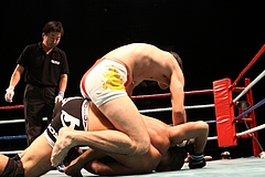 IMG_9329 IMG_9329