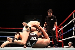 IMG_9333 IMG_9333