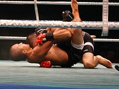 P1170502 P1170502
