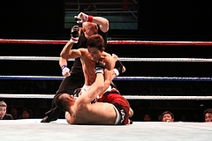 IMG_9174 IMG_9174