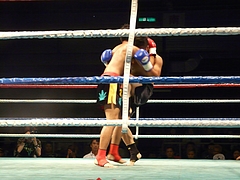 P1170145 P1170145