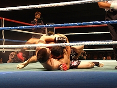 P1170297 P1170297
