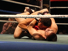 P1170292 P1170292