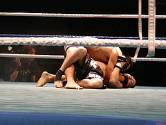 P1170305 P1170305