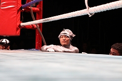 IMG_9337 IMG_9337