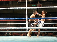P1170103 P1170103