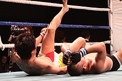 IMG_9480 IMG_9480