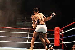 IMG_9598 IMG_9598